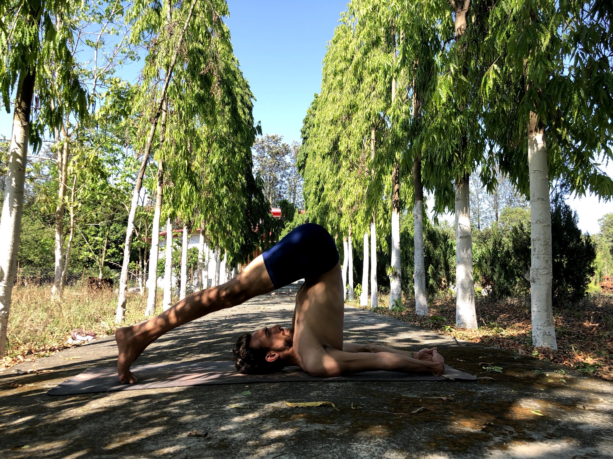 Halasana - The Plough Pose | Steps | Benefits | Learn Yogasanas Online |  Yoga and Kerala