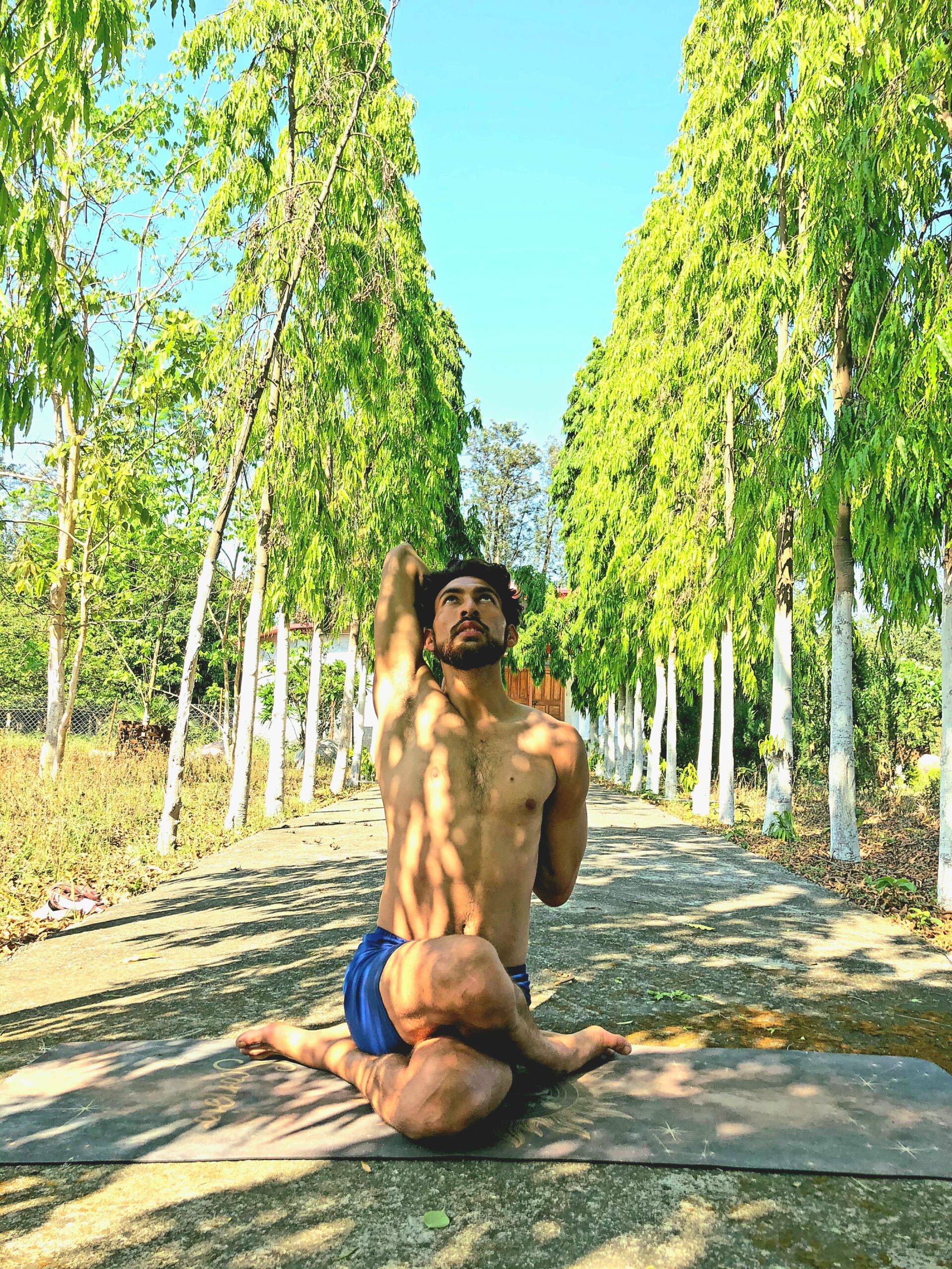 Man tree pose yoga Stock Vector Images - Alamy