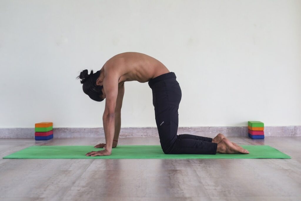 Cat Pose Marjaryasana How To Do It Benefits And Precautions